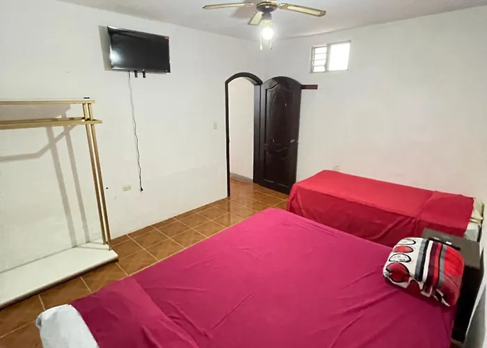 Casa Genesis